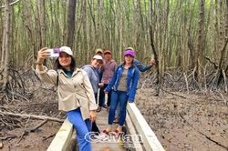 Trải nghiệm du lịch xanh ở Đất Mũi