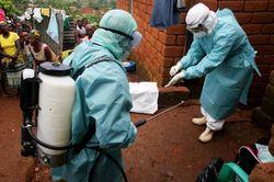 Ghi nhận thêm 8 ca nhiễm virus Marburg