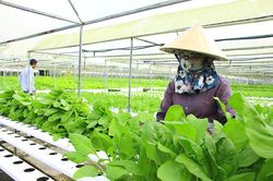 Huyện Cao Lãnh phát triển nông nghiệp theo hướng gia tăng chuỗi giá trị