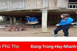 Vốn chính sách, mách cách thoát nghèo