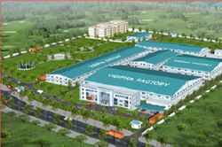 Dược phẩm Vidipha nhận đơn từ nhiệm của thành viên Ban kiểm soát
