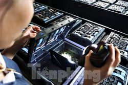 Tận thấy trại nuôi cua biển trong hộp nhựa đầu tiên ở Hà Tĩnh