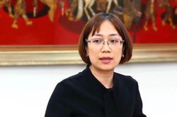 Nhà đầu tư chiến lược không hợp tác, Hãng phim truyện VN vẫn bơ vơ
