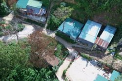 Đà Lạt: Hàng loạt nhà không phép 'mọc' trong rừng thông