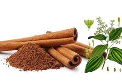 Một số bài thuốc hay dùng quế