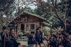 Đắm say với Cát Cát