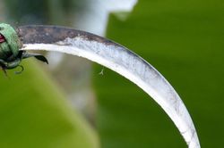 Người đàn ông ở Tân Kỳ bị chém tử vong trong đêm