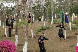 Mùa hoa ban Sơn La - dệt những sắc màu văn hóa