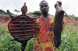 6 món ăn kinh dị bậc nhất Ghana, khiến nhiều du khách sợ hãi
