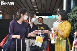Nối lại đường bay quốc tế từ Narita (Nhật Bản) - Đà Nẵng