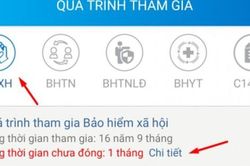 Hướng dẫn xem thời gian chưa đóng BHXH, BHTN