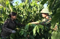 Người cán bộ hội năng động