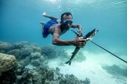 Cuộc sống của bộ tộc 'người cá' lặn biển như 'nhảy múa'