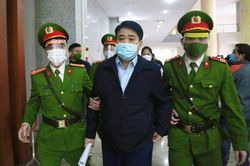Ông Nguyễn Đức Chung đã chỉ đạo thu gọn đầu mối về Sở Xây dựng để đặt hàng trồng cây xanh