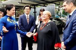 Cựu Tổng thống Chile Michelle Bachelet Jeria quan tâm tới việc giải quyết bạo lực gia đình tại Việt Nam