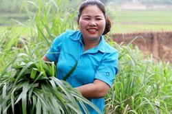 Giúp chị em phụ nữ 'giảm nghèo, tăng giàu'