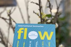 Giới thiệu sách: FLOW - Dòng chảy