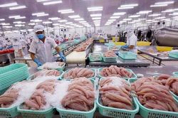 Khó khăn bủa vây, doanh nghiệp thủy sản cầm cự cách nào?