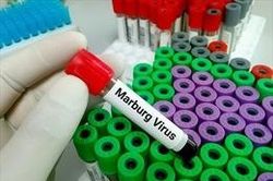 Tanzania tuyên bố kiểm soát dịch Marburg