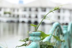 Hàng trăm quả cầu gang trên lan can Hồ Tây bị đánh cắp