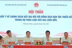 Thực hiện hiệu quả chính sách về đất đai với đồng bào dân tộc thiểu số