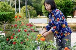 Bình Dương: Sức sống mới ở làng thông minh