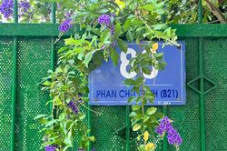 Người phụ nữ ròng rã 30 năm đi tìm chủ quyền nhà dù HĐND tỉnh Bà Rịa - Vũng Tàu xác định việc mua bán hợp pháp