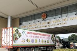 Nông sản xuất khẩu sang thị trường Trung Quốc ngày càng khó