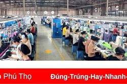 Công ty CP giầy Hạ Hòa tạo việc làm cho 700 công nhân có việc làm ổn định