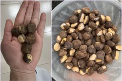 18 người ngộ độc do ăn phải loại hạt lạ chứa chất độc