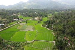 Đặc sắc làng cổ Lộc Yên