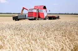 Ba Lan muốn tìm mọi cách hạn chế, thậm chí chặn ngũ cốc từ Ukraine, lý do là gì?