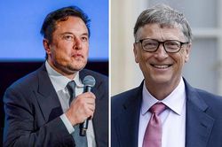Tỷ phú Elon Musk và các chuyên gia toàn cầu kêu gọi tạm dừng AI