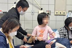 Vụ ngộ độc tập thể ở Tiểu học Kim Giang: Phát hiện vi khuẩn trong thịt gà