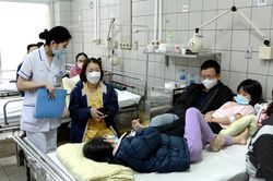 Vụ ngộ độc trường Kim Giang: Do vi khuẩn tụ cầu vàng nhiễm vào thịt gà