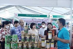 Hà Nội, TP Hồ Chí Minh: Đẩy mạnh kích cầu tiêu dùng và bình ổn giá