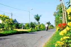 Nông thôn mới Long Phú chuyển mình nhờ nông nghiệp 4.0