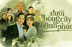 'Dưới bóng cây hạnh phúc': Cây hạnh phúc cuối cùng đã trổ hoa