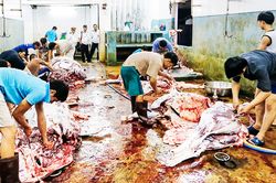 Sau 31/3, các cơ sở giết mổ gia súc thủ công tại TP.HCM sẽ ngừng hoạt động