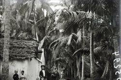 Ảnh cực hiếm về làng Dừa ở tỉnh Hà Đông thập niên 1920 (2)