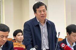 Giá lợn hơi chìm sâu dưới đáy, Cục Chăn nuôi nói 'xu thế toàn cầu'