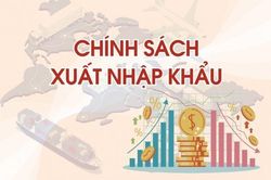 Thuế giá trị gia tăng đối với mặt hàng tơ tằm thô