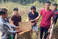 Lâm Đồng: Bắt giữ hình sự và dựng lại hiện trường vụ phá hoại rừng