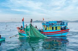 Gỡ 'thẻ vàng' cho thủy sản - Bài 2: 180 ngày chạy nước rút!