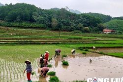 Quảng Ninh trở thành điểm sáng về thực hiện công tác giảm nghèo