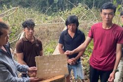 Tạm giữ 6 đối tượng phá gần 1 ha rừng ở Lâm Đồng