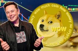 Elon Musk tìm cách thoát khỏi vụ kiện 258 tỷ USD vì đồng tiền số hình chó Dogecoin