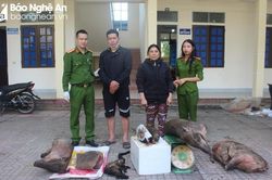 Nhiều thủ đoạn tinh vi trong buôn bán, nuôi nhốt động vật hoang dã