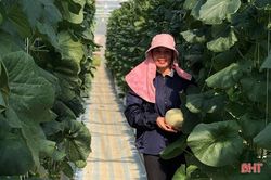 Nữ giám đốc hợp tác xã năng động, làm kinh tế giỏi