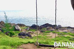 Cuốn hút bãi Yên Ngựa